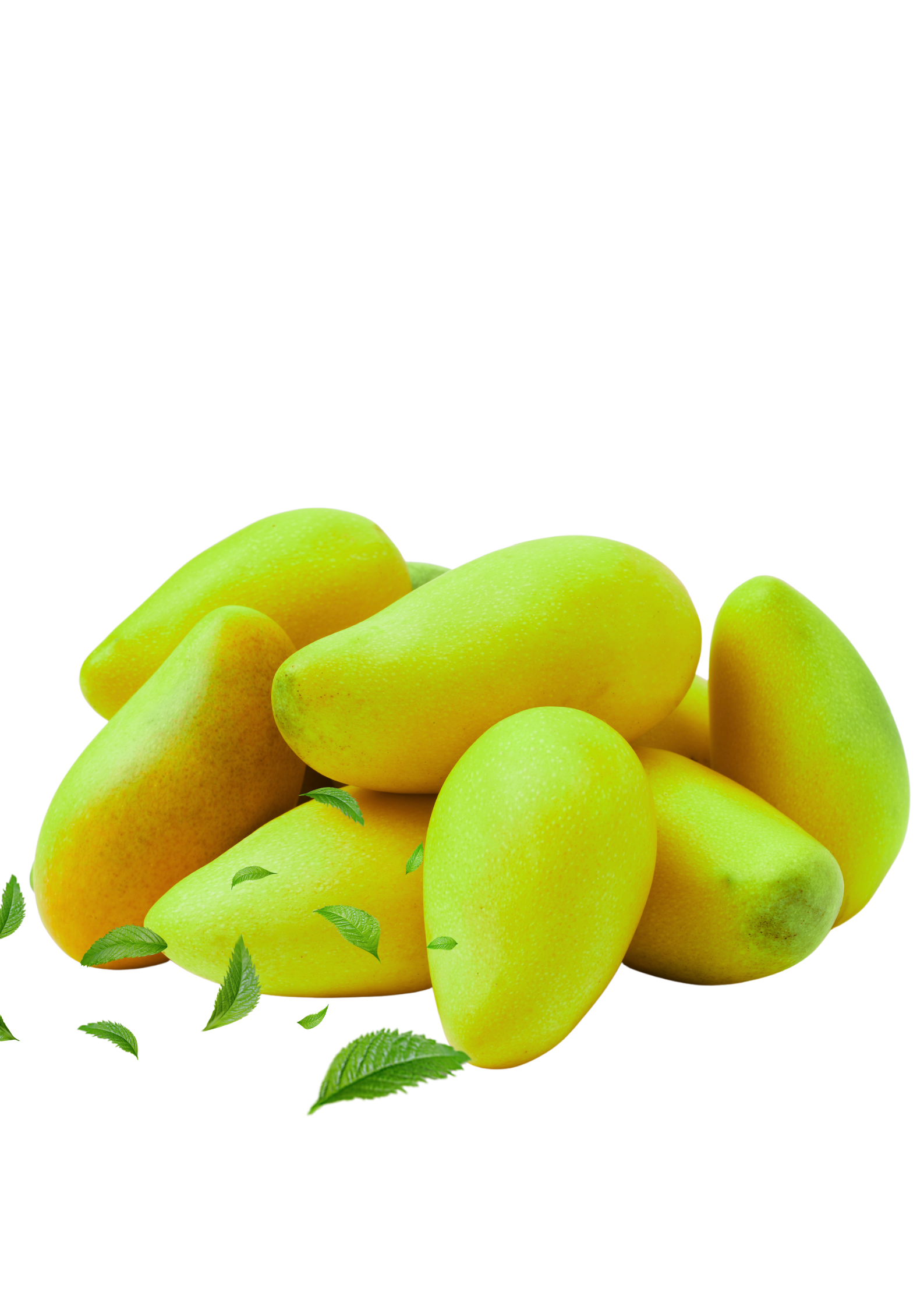 Black Chaunsa